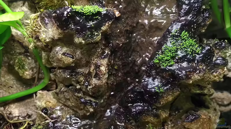 Wasserfall, Stand 01.2023 von Stephi (4)