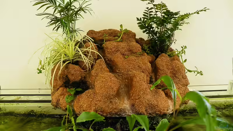 Wasserfall bepflanzt - 18.06.2011 von bergfrau (44)