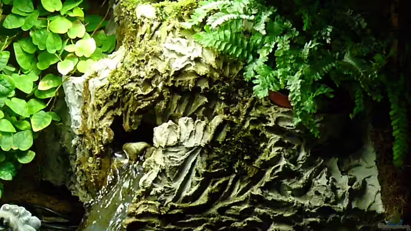 Wasserfall einlauf von Werner Lehmann (21)