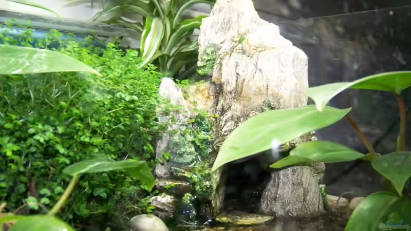 Wasserfall entlang der Höhle von Nicky (7)