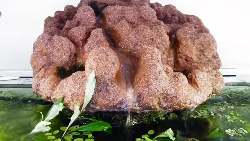 Wasserfall fertig - 09.06.2011 von bergfrau (43)