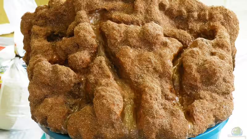 Wasserfall-Modul fast fertig - 06.06.2011 von bergfrau (42)