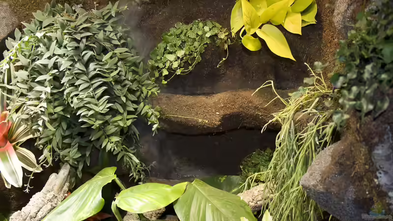 Wasserfall von Hoppe-Terrarienbau (9)