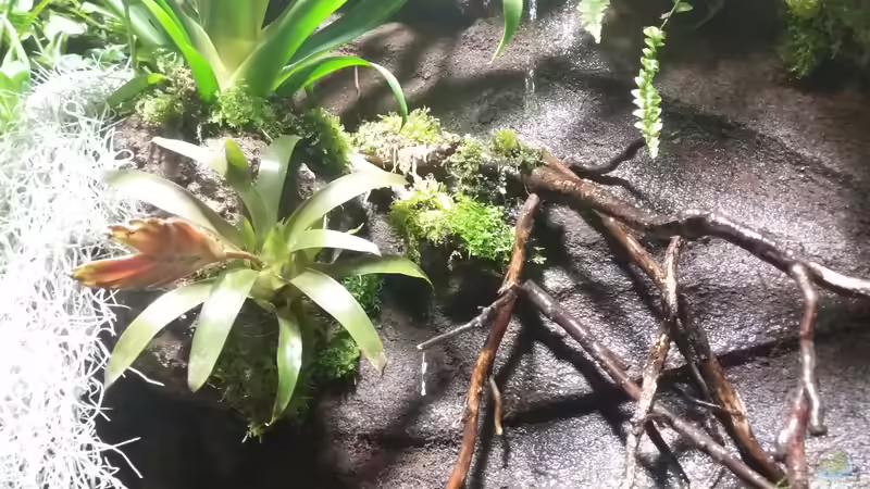 Wasserfall von Sebastian Müller (12)