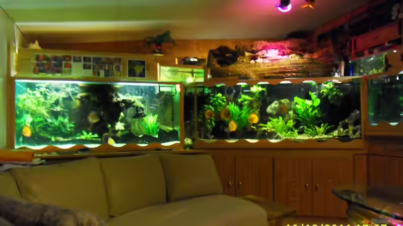 Wasserfall von Ulrich Sauerhering (3)