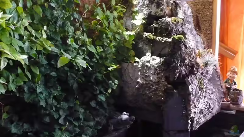 Wasserfall von vorn von Werner Lehmann (23)