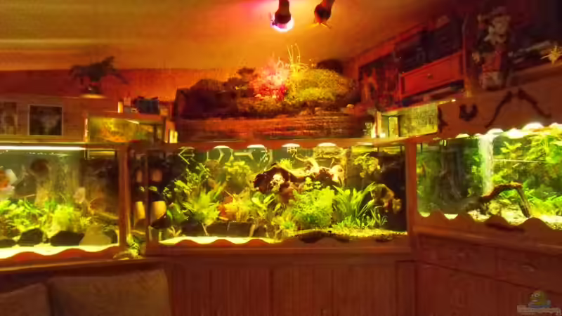 Wasserfallansicht von Ulrich Sauerhering (34)