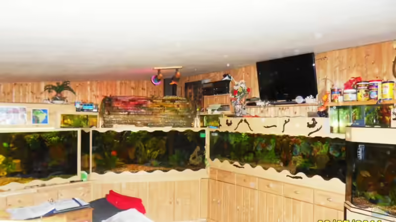 Wasserfallansicht von Ulrich Sauerhering (43)