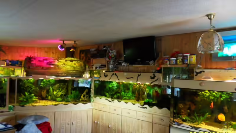 Wasserfallansicht von Ulrich Sauerhering (44)