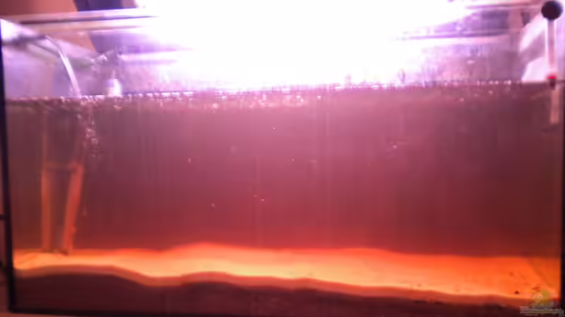 Wasserfarbe stimmt schon mal (der Anfang) von Benjamin Hamann (16)