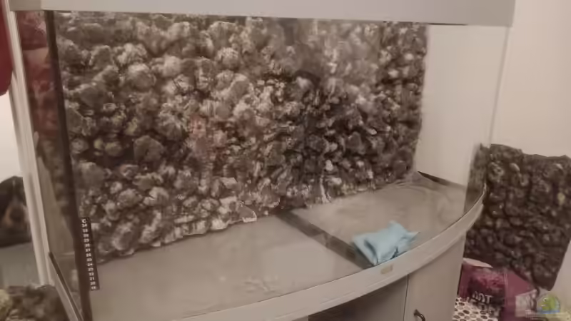 Wasserfestes einkleben der fertigen Rückwand mit Aquariumsilikon von Wilhelm94 (8)