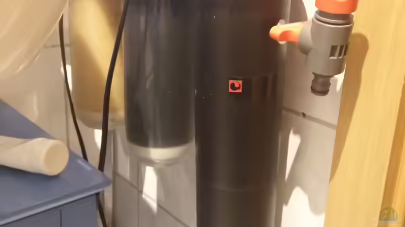 Wasserfilter von Pirarucu (19)