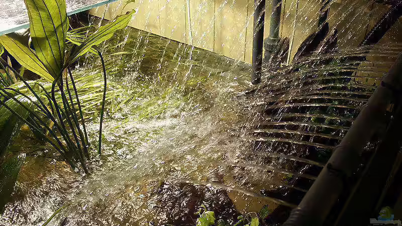 Wasserführung rechte Seite (bei Wasserwechsel nur 1 Pumpe an Beckenrückseite zugeschaltet) von Uwe Dölling (7)