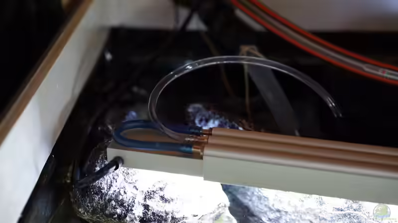 Wasserkühlung von pa.Trick (20)