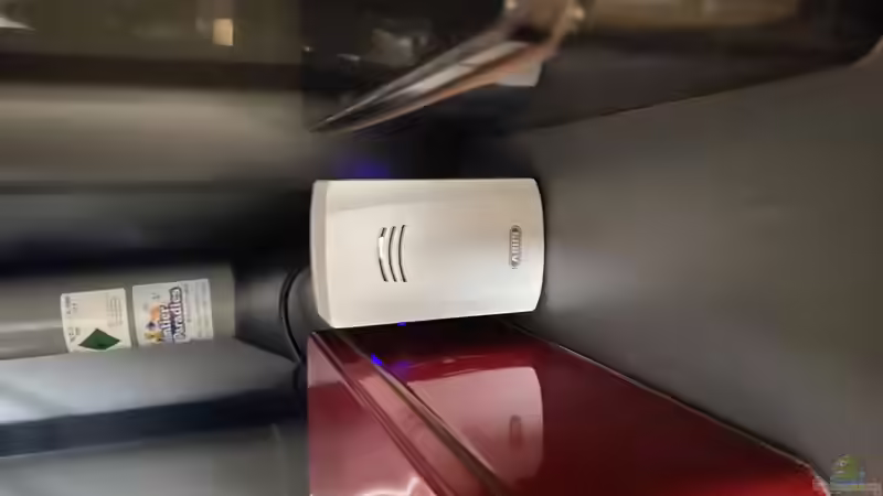 Wassermelone von Abus von Ottche (43)