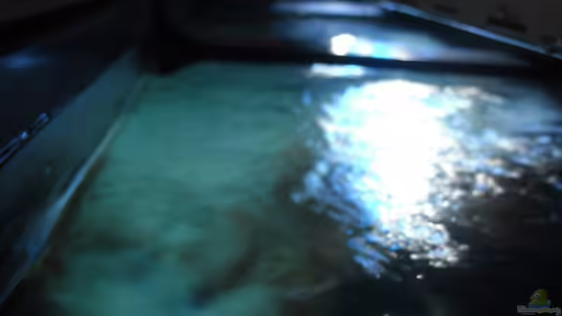 Wasseroberfläche Rechts von Vision (4)