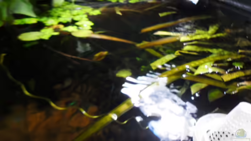 Wasseroberfläche von Jan Hüsemann (3)