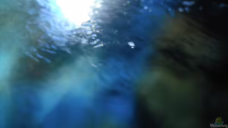 Wasseroberfläche von Vision (5)