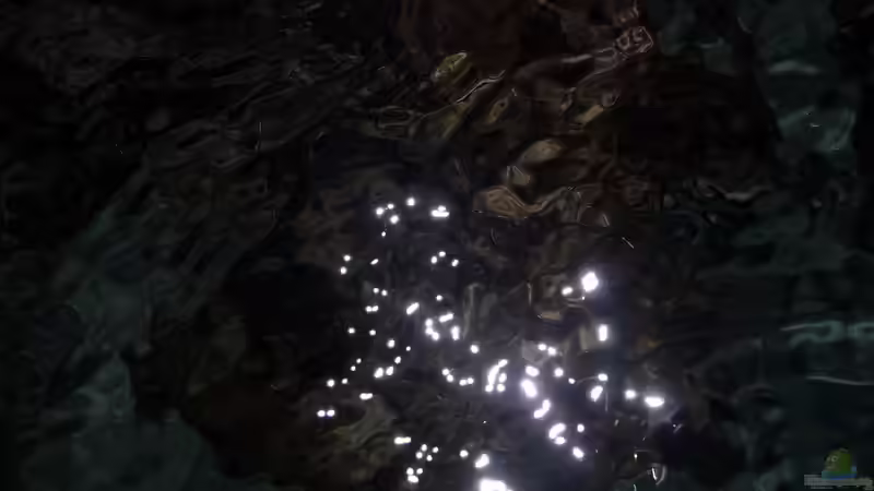 Wasseroberflächenbewegung durch die Strömungspumpe von DER YBBSTALER (46)