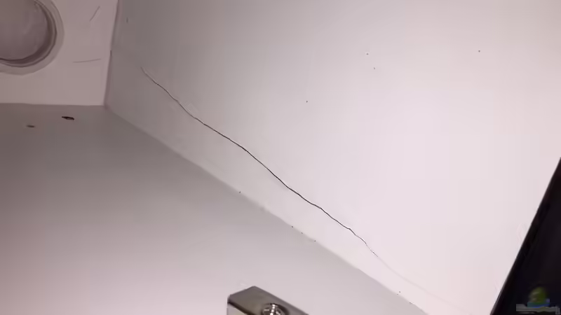 Wasserschaden an Möbel von flightsim (61)