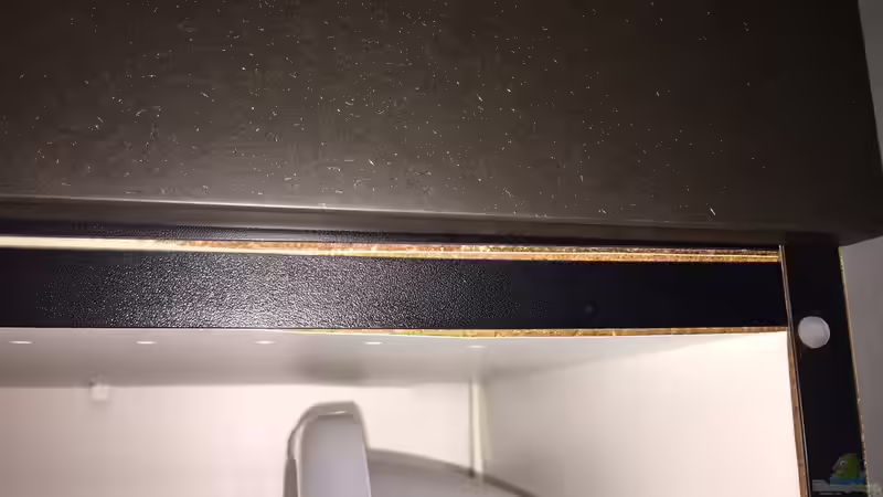 Wasserschaden an Möbel von flightsim (62)