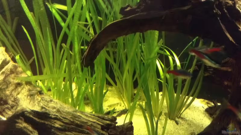 Wasserschraube  von Simon W (3)