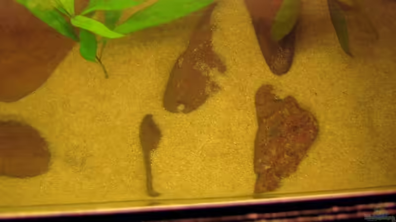 Wasserspiegel von Dennis Klusmann (6)