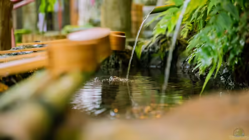 Wasserspiele im Gartenteich richtig platzieren