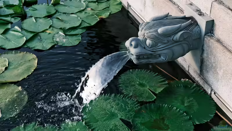 Wasserspiele im Gartenteich richtig platzieren