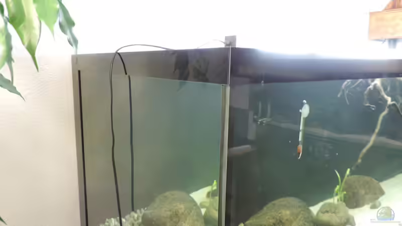 Wasserstandsblende von Fichte (27)