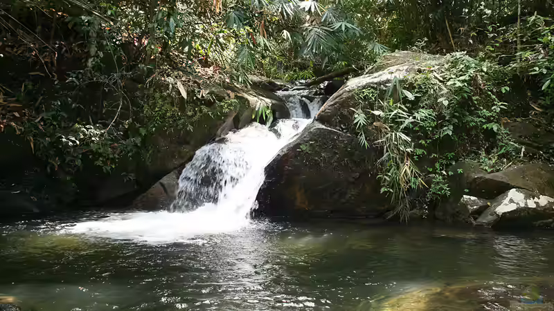 Wasserstelle von -Der Österreicher- (30)