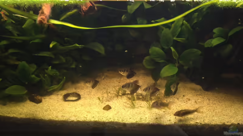 Wasserteil, noch mit den ehemaligen Bewohnern von Stephi (16)