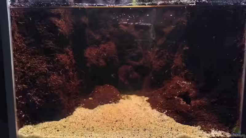 Wasserteil, noch unbepflanzt von Stephi (11)