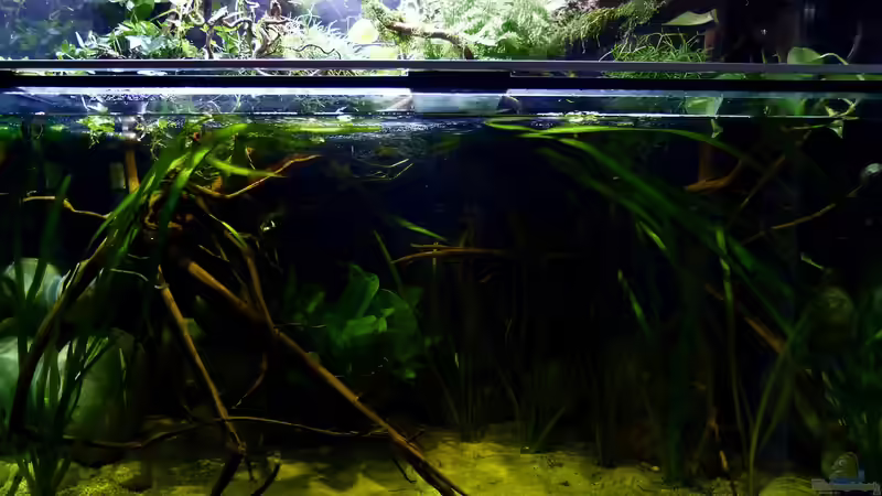 Wasserteil 08.08.15 von ~Marco~ (9)