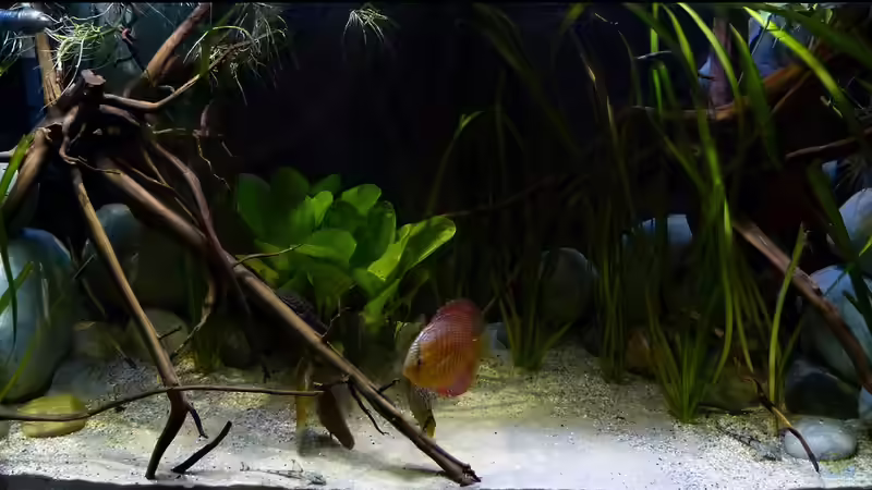 Wasserteil 22.08.15 von ~Marco~ (18)