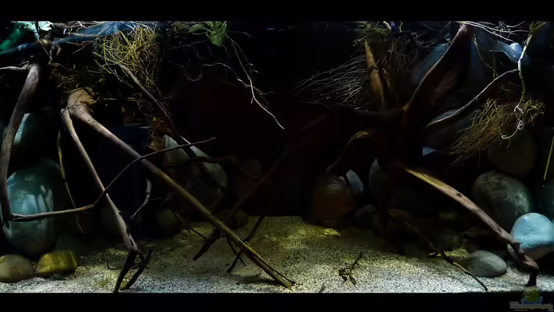 Wasserteil 22.11.15 von ~Marco~ (28)