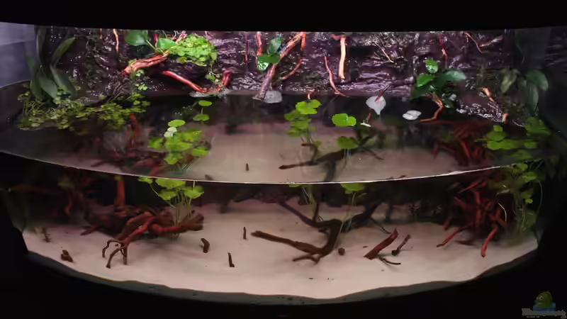 Wasserteil von oben 05.08.2013 von Koehler (4)