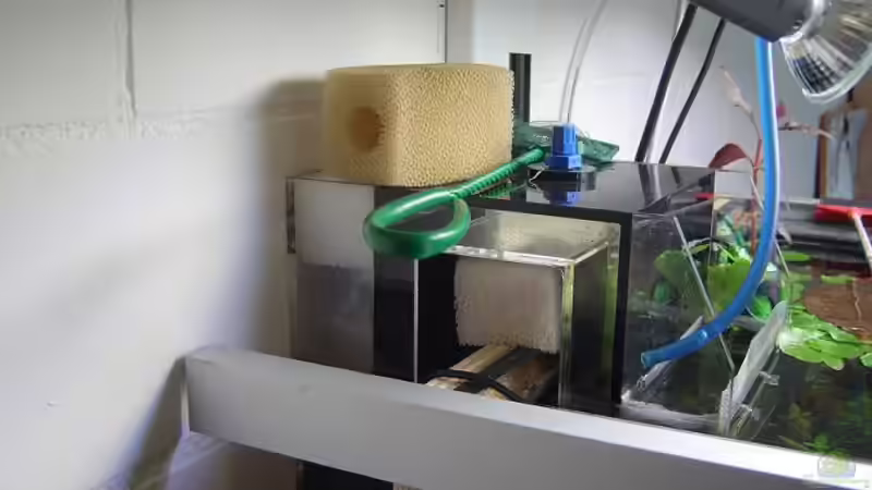 Wasserüberlauf von AQ Daniel (5)