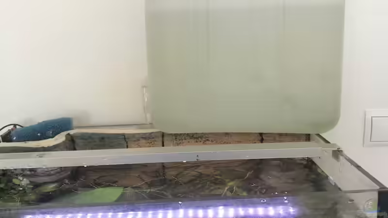 Wasserwechsel, über einen 20 Liter Kanister lässt sich das Wasser schön dosiert von Tim1979 (5)