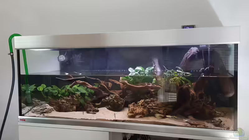 Wasserwechsel 1 mal die Woche von Henki (5)