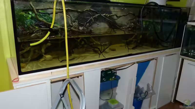 Wasserwechsel 25.01.15 von ~Marco~ (58)