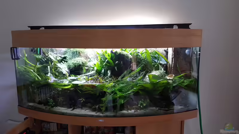 Wasserwechsel mit 20 m Schlauch zum Badezimmer und JBL Aqua in Out von Thomas Müller (59)