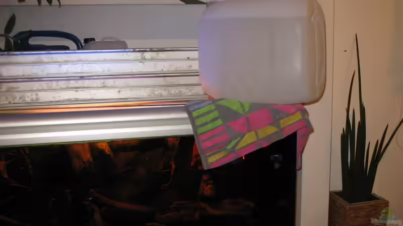 Wasserwechsel mit 30 l Kanister Regenwasser von der Theoretiker (61)