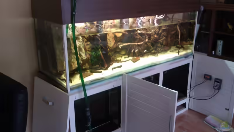 Wasserwechsel von Biffty (10)