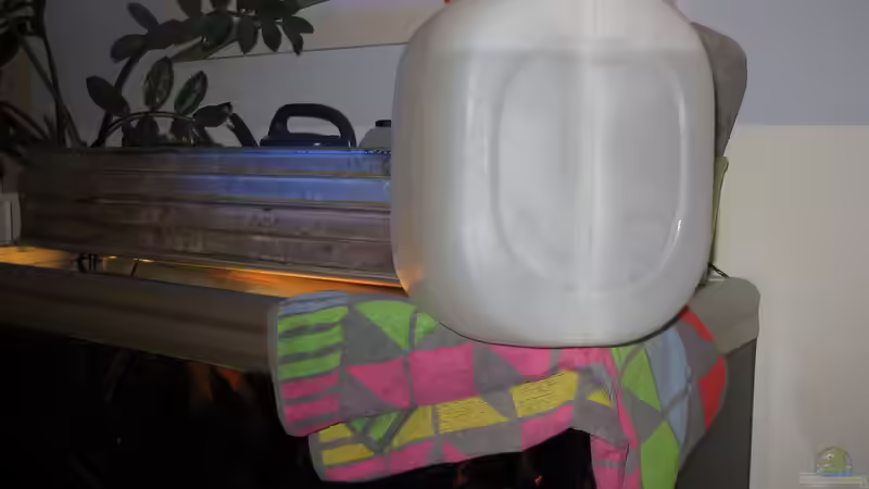 Wasserwechsel von der Theoretiker (66)