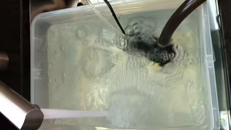 Wasserwechsel von flightsim (46)