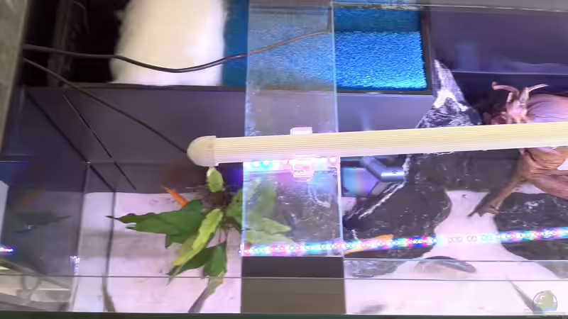 Wasserwechsel von flightsim (47)