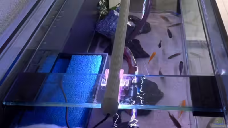 Wasserwechsel von flightsim (48)