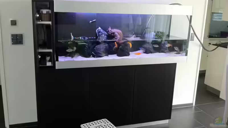 Wasserwechsel von flightsim (49)