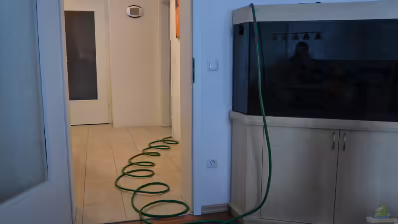 Wasserwechsel von Flutsch (18)